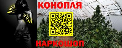 каннабис Берёзовский