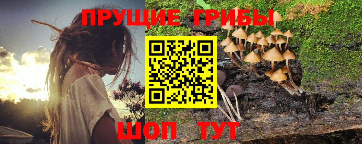 Галлюциногенные грибы мухоморы Ижевск