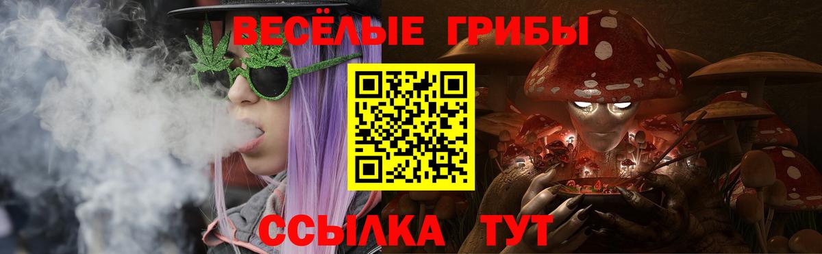 Ижевск  Галлюциногенные грибы Cubensis  Вход с VPN 
